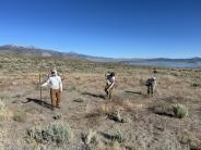 OHV Trespass Restoration